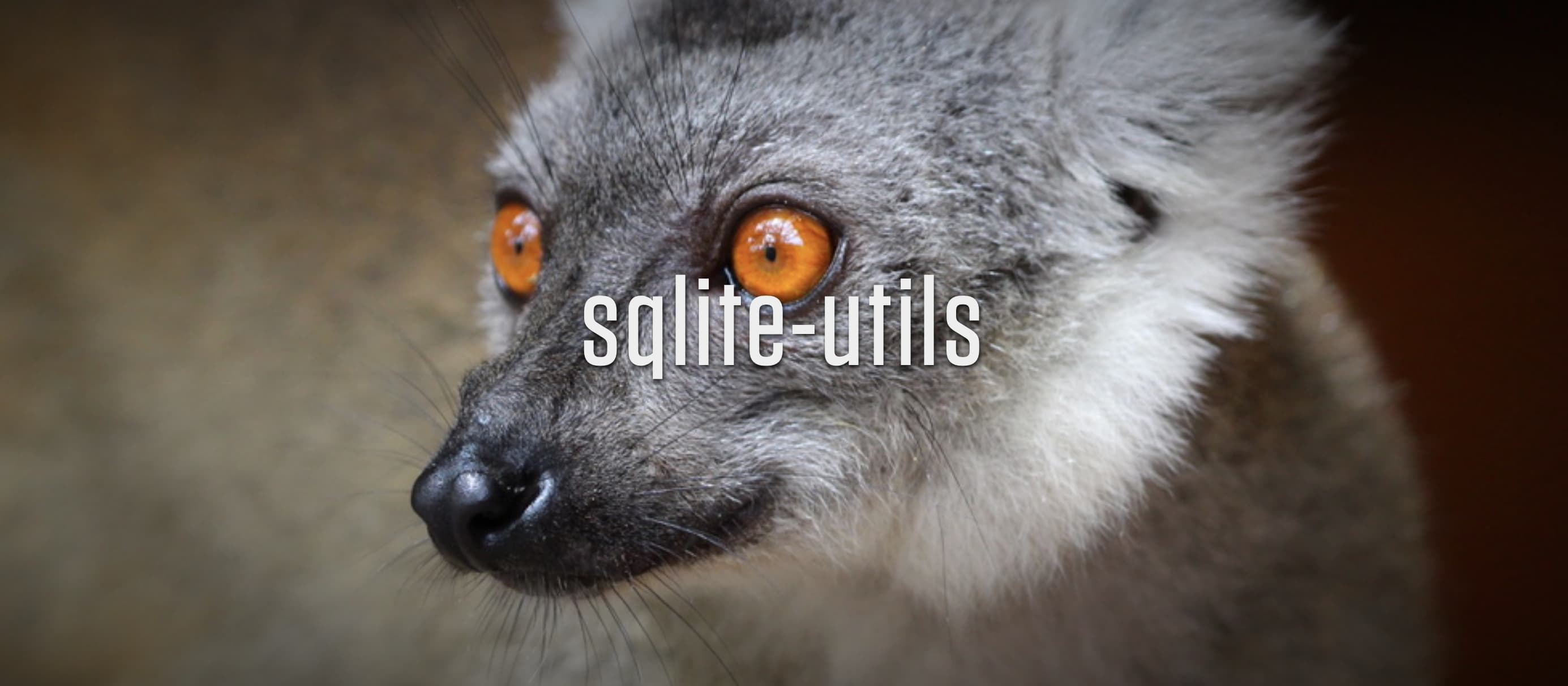 simonw/sqlite-utils