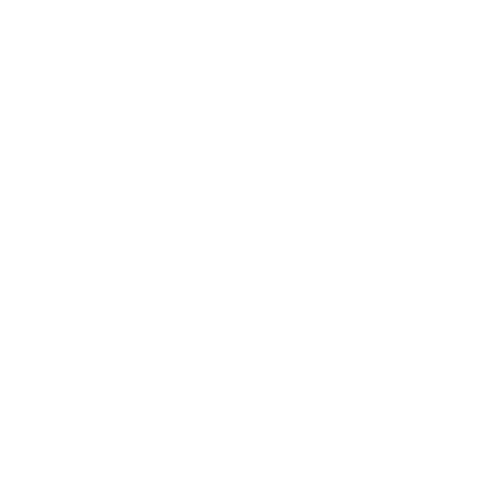 RROrg/rr